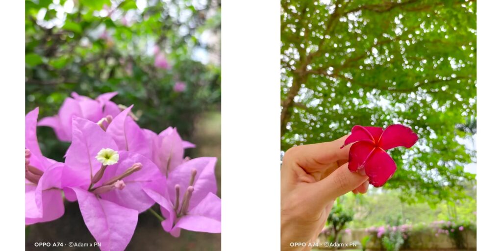 4.4 HDR main lens 1080p Oppo A74 4G.mp400021