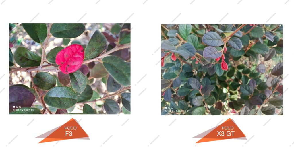 3.12 macro shots 1080p Poco F3 Vs Poco X3 GT.mp400024