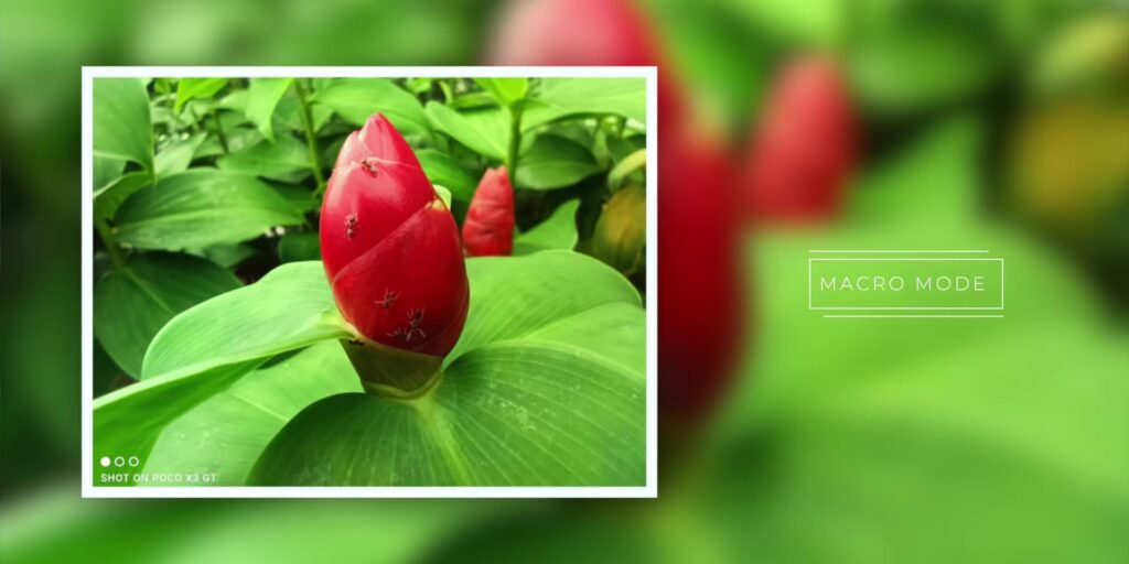 4.9 macro lens 1080p Poco X3 GT Full Review WARNING Before You Buy.mp400023