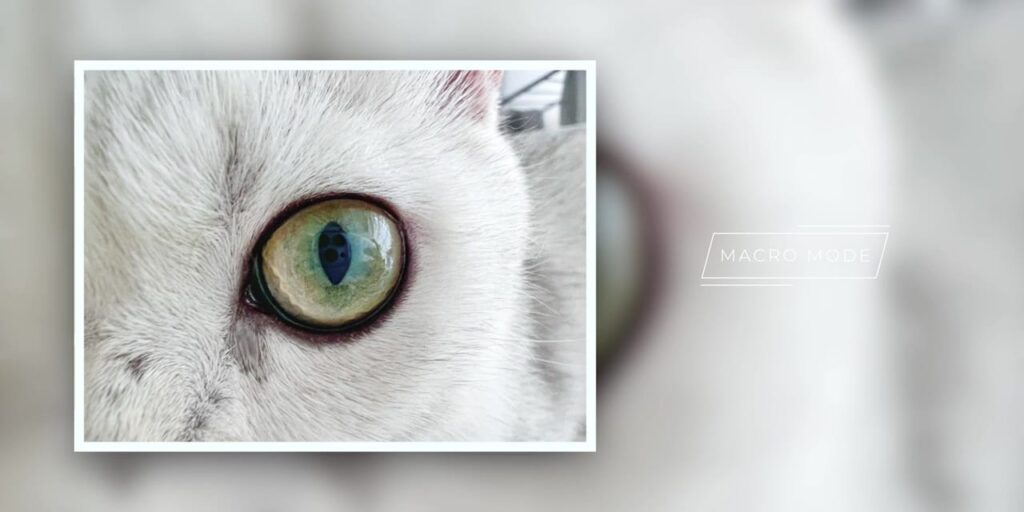 4.11 macro 1 1080p iPhone 13 Pro And iPhone 13 Pro Max In Depth Review v2.mp400025