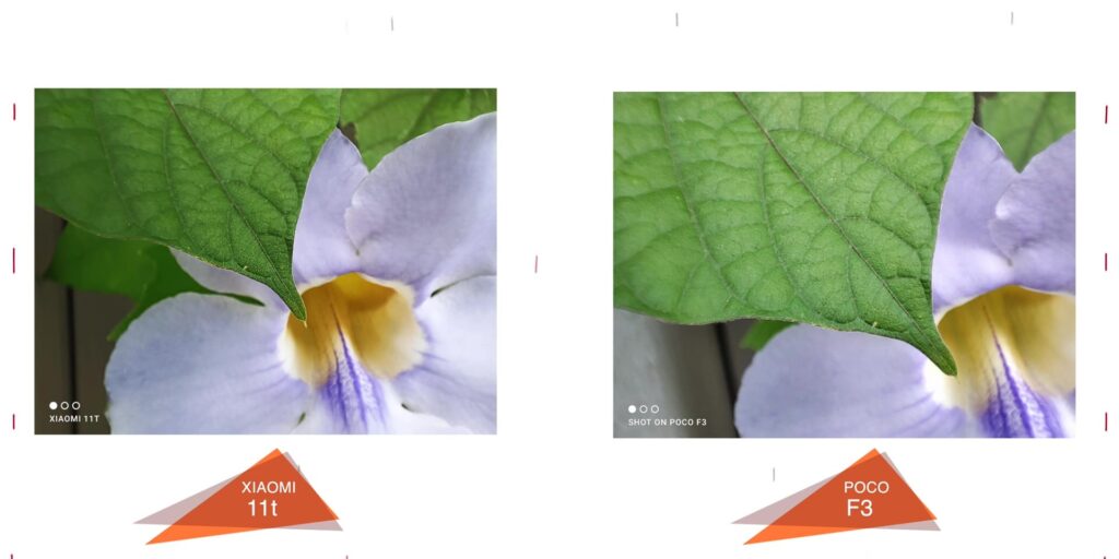 3.9 macro 1 1080p Poco F3 vs Xiaomi 11T Whos the BETTER flagship.mp400007