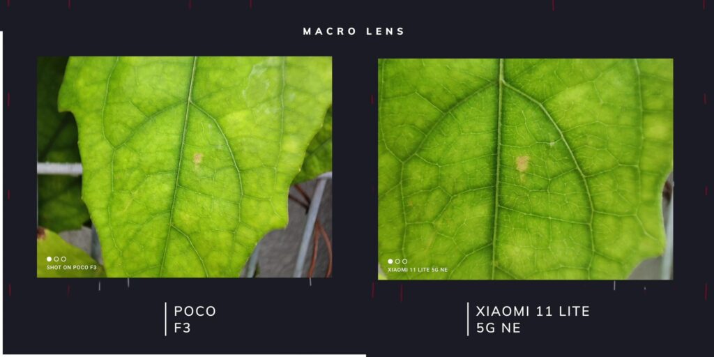 3.14 macro mode 1080p Poco F3 Vs Xiaomi 11 Lite 5G NE.mp400032
