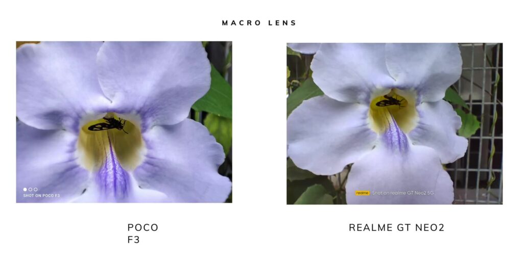3.10 macro lens