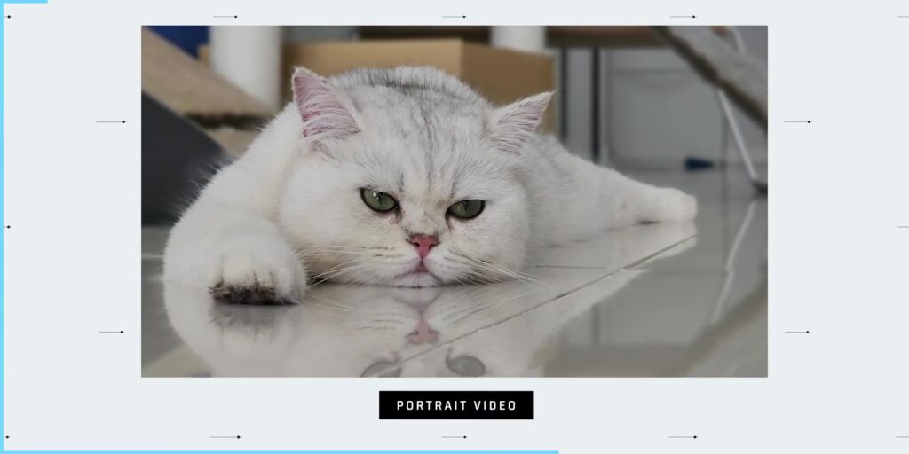 How ULTRA are the Cameras of the Samsung Galaxy S22 Ultra? 📷 37 6.4 portrait video pets