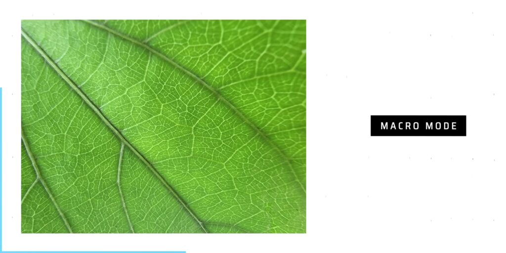 How ULTRA are the Cameras of the Samsung Galaxy S22 Ultra? 📷 16 3.2 macro pic