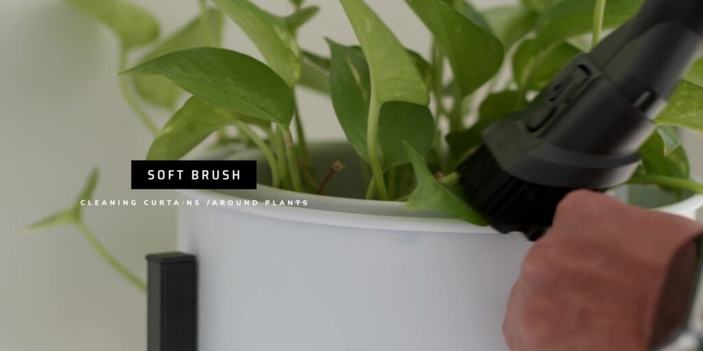 2.14 soft brush around plant