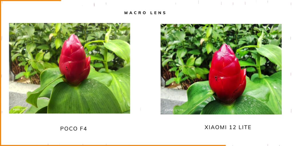 3.18 macro lens 2