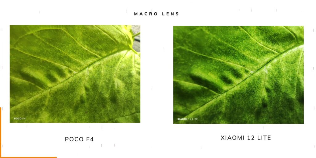 3.17 macro lens