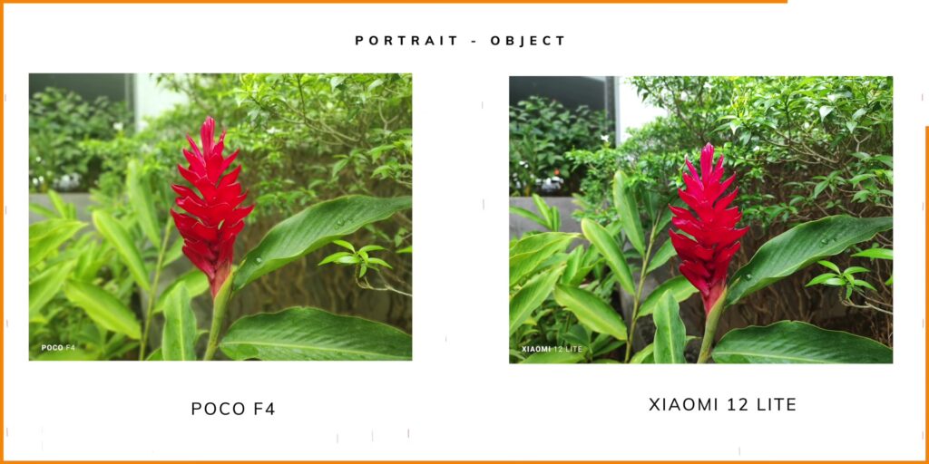3.14 portrait plants