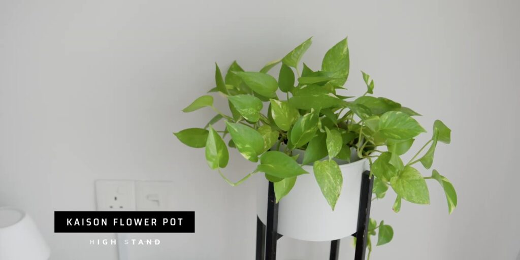 2.6 flower pot