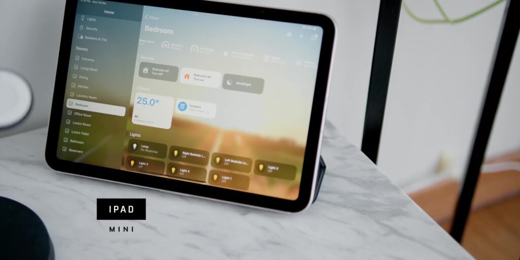 2.4 ipad mini