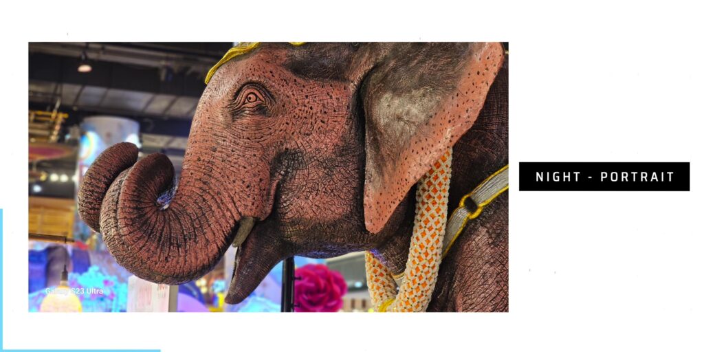 7.1 night portrait elephant