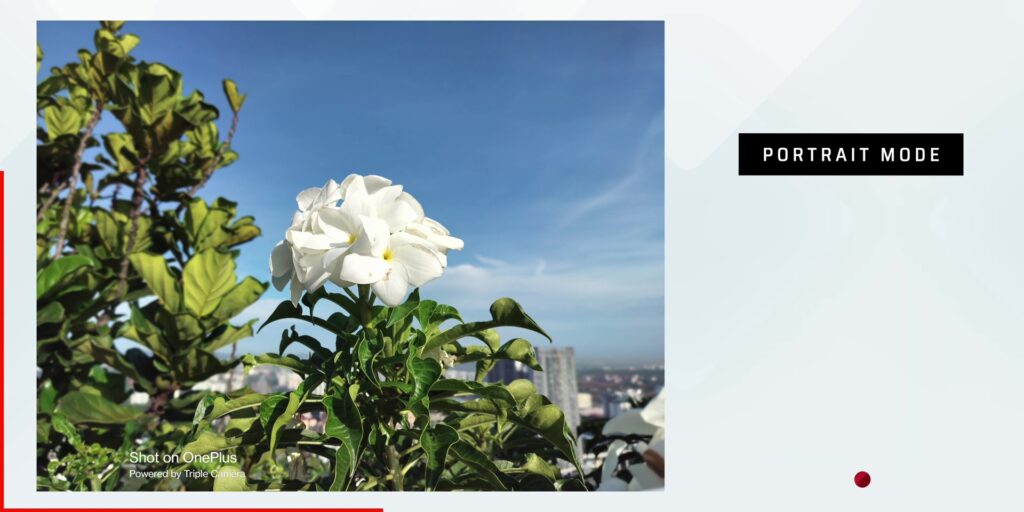 OnePlus Nord CE 3 Lite 5G: The CORE Essentials Smartphone! 19 4.5 bokeh portraits