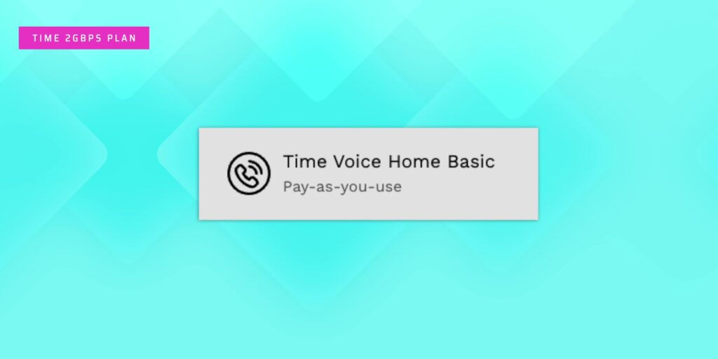 2.4 time voice plan