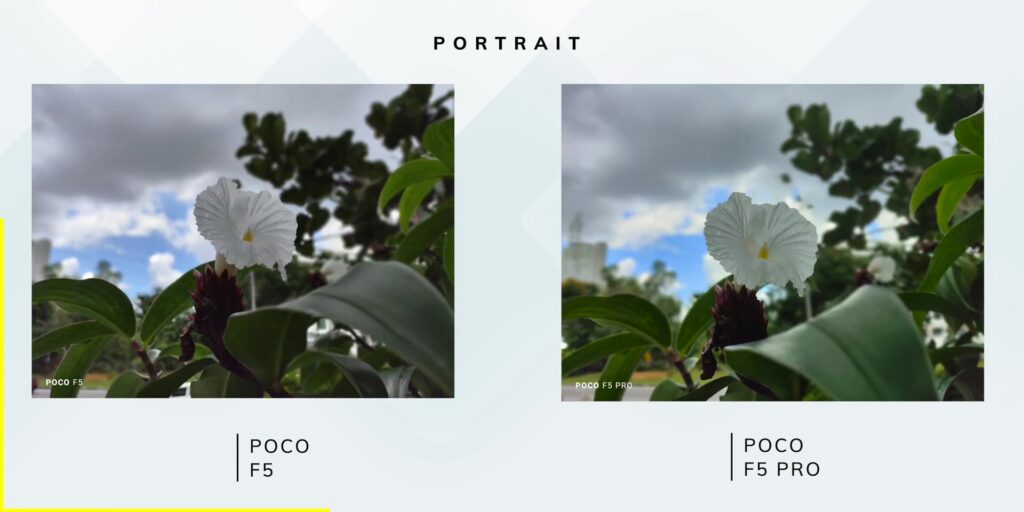 4.6 portrait