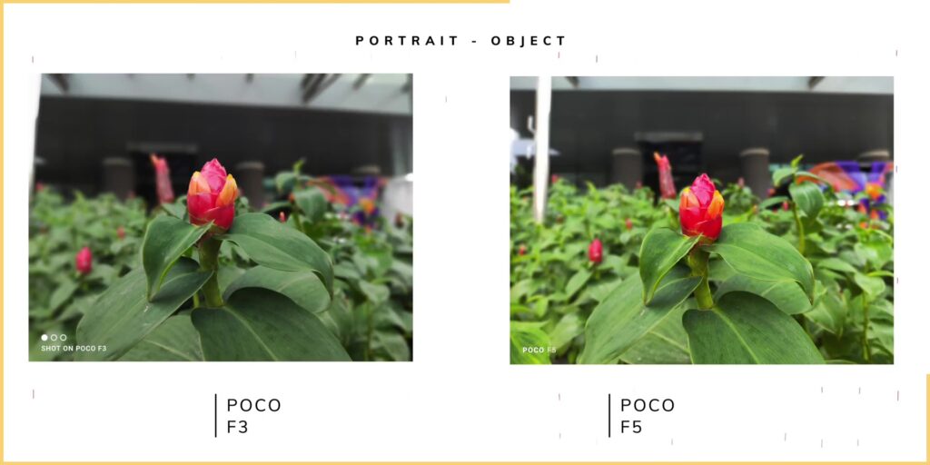 4.1 portrait object