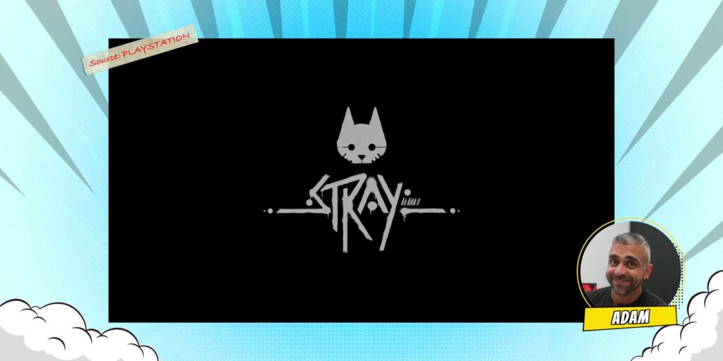 3.6 stray
