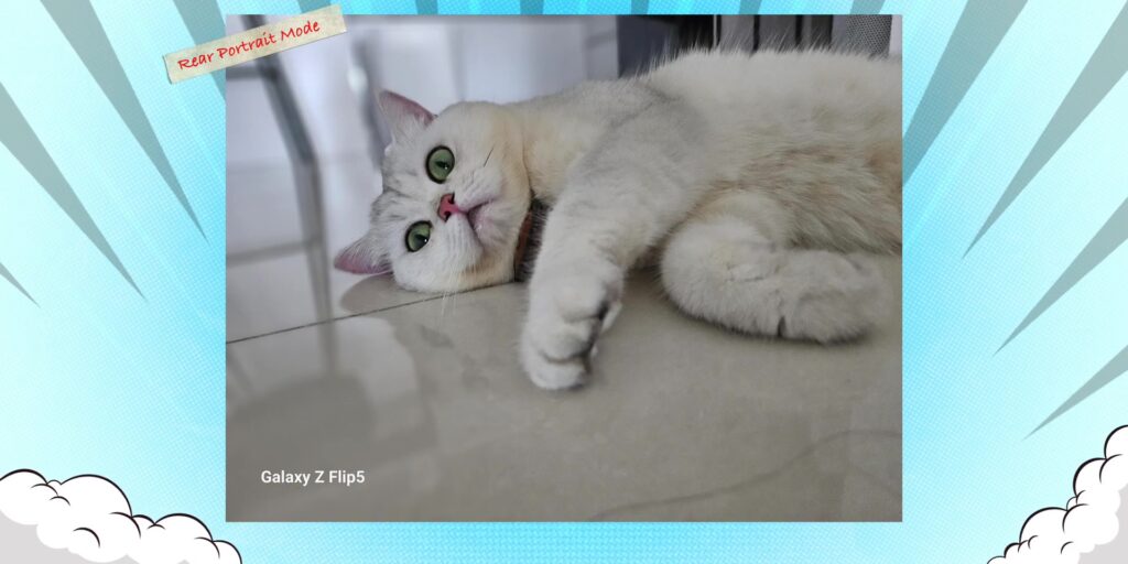Samsung Galaxy Z Flip5: Flex Window’s HUGE Upgrade! | In-depth Review 45 6.6 rear portrait pets