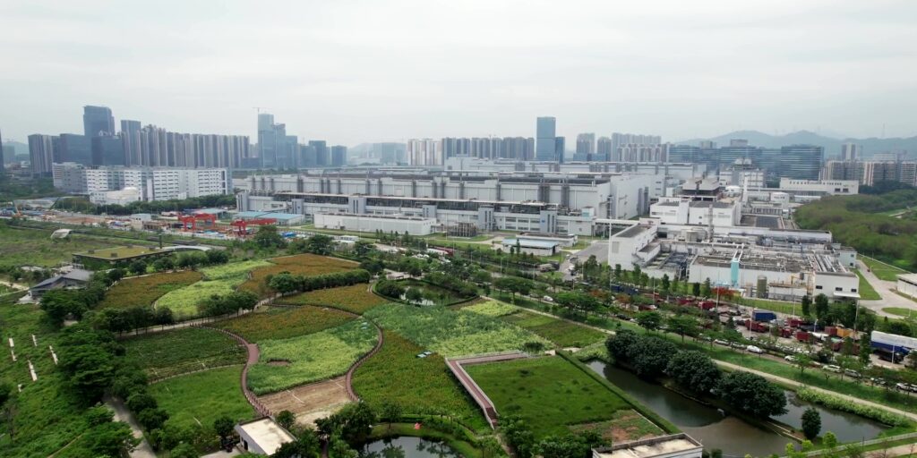 4.2 wetland 2