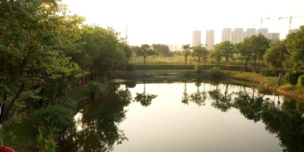 4.1 wetland