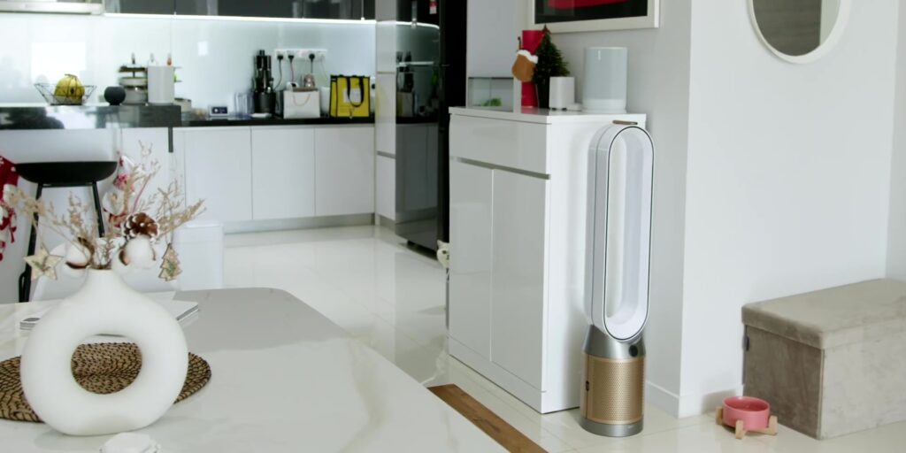 4.6 dyson fans