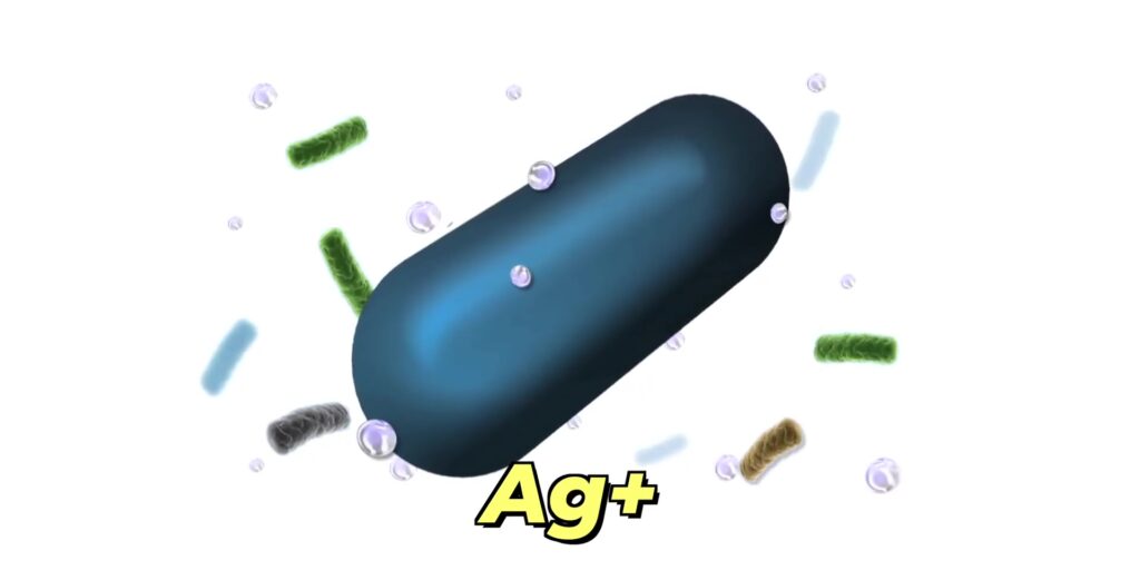 3.1 AG plus