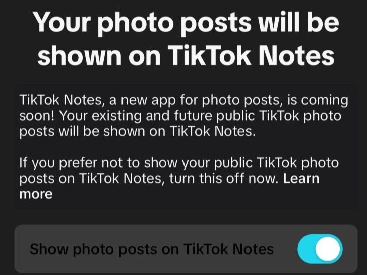 TikTok Notes