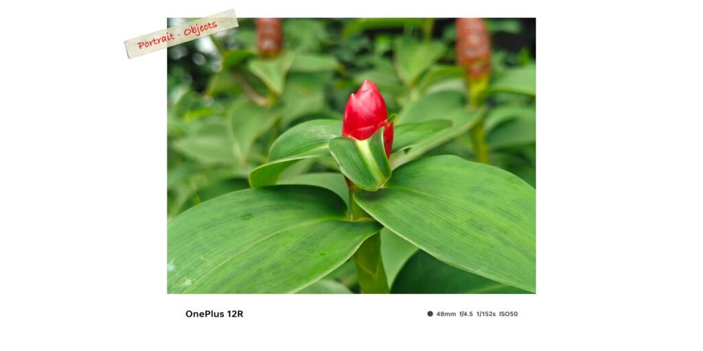 5.1 PRT obj