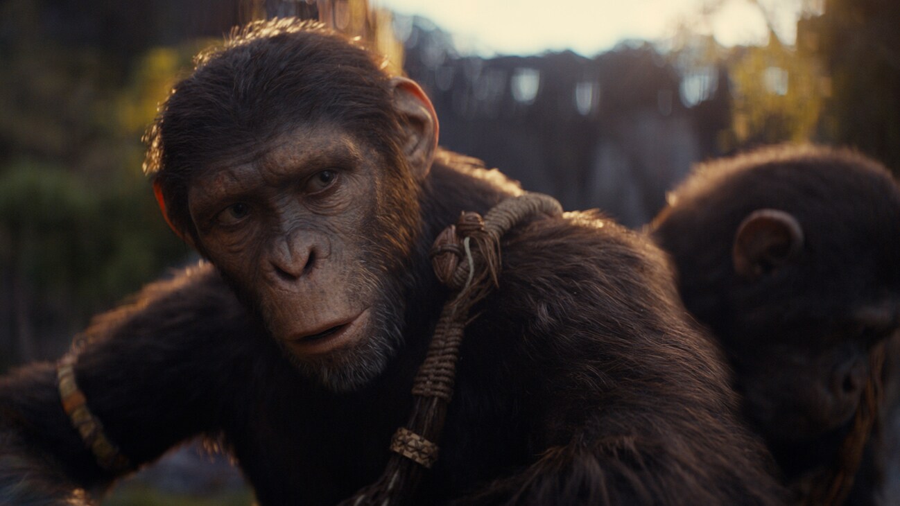 Kingdom of the Planet of the Apes Review: A Kingdom Forged in Chaos 8 Kingdom of the Planet of the Apes Review 7