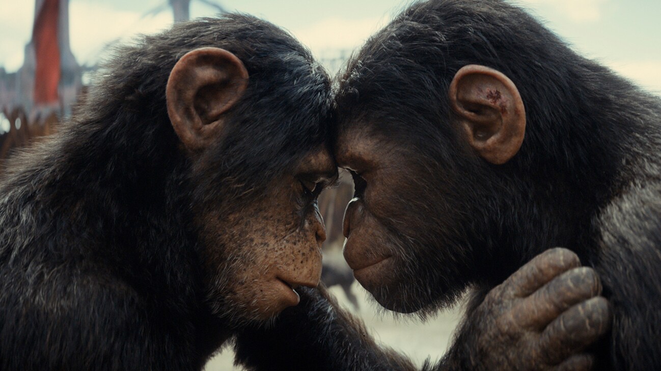 Kingdom of the Planet of the Apes Review: A Kingdom Forged in Chaos 7 Kingdom of the Planet of the Apes Review 3