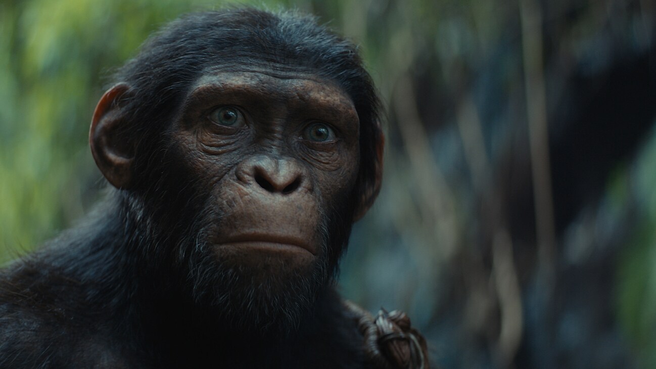 Kingdom of the Planet of the Apes Review: A Kingdom Forged in Chaos 2 Kingdom of the Planet of the Apes Review 4