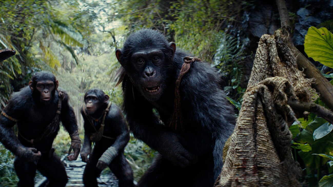 Kingdom of the Planet of the Apes Review: A Kingdom Forged in Chaos 6 Kingdom of the Planet of the Apes Review 8