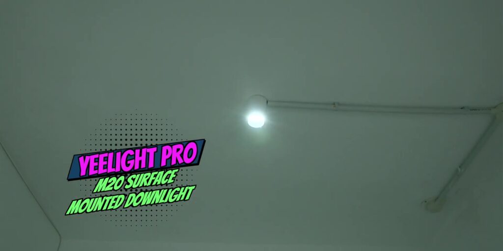 2.9 m20 downlight