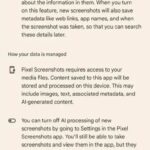 New Google AI Will Be Coming To The Pixel 9 3 Google AI 2