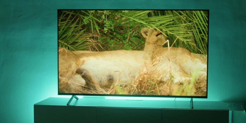 1.8 nature documentary