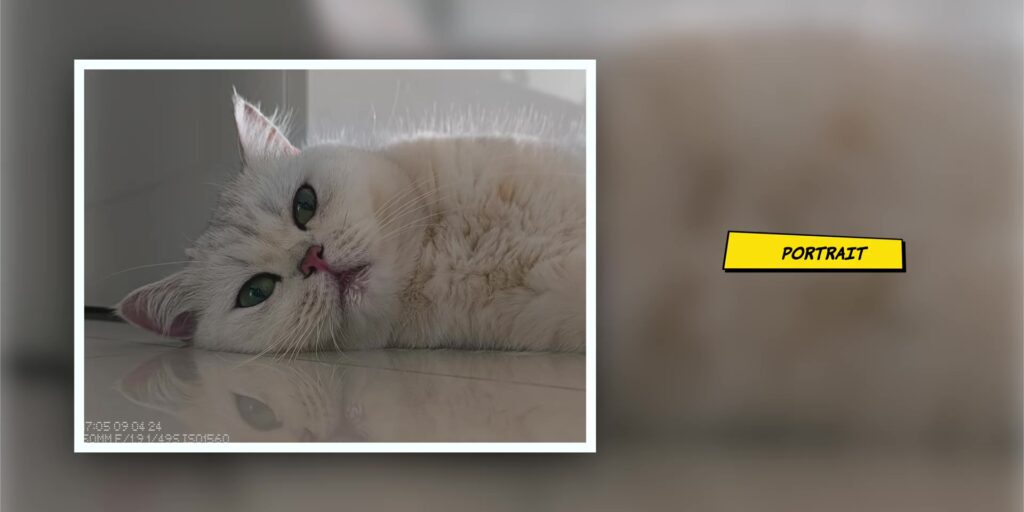 Nothing Phone (2a) Plus: "Nothing" Different? 🤔 25 4.3 PRT pets