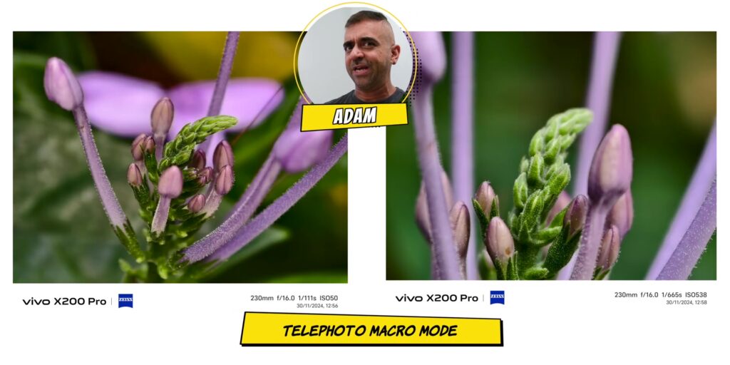 2.6 macro flower