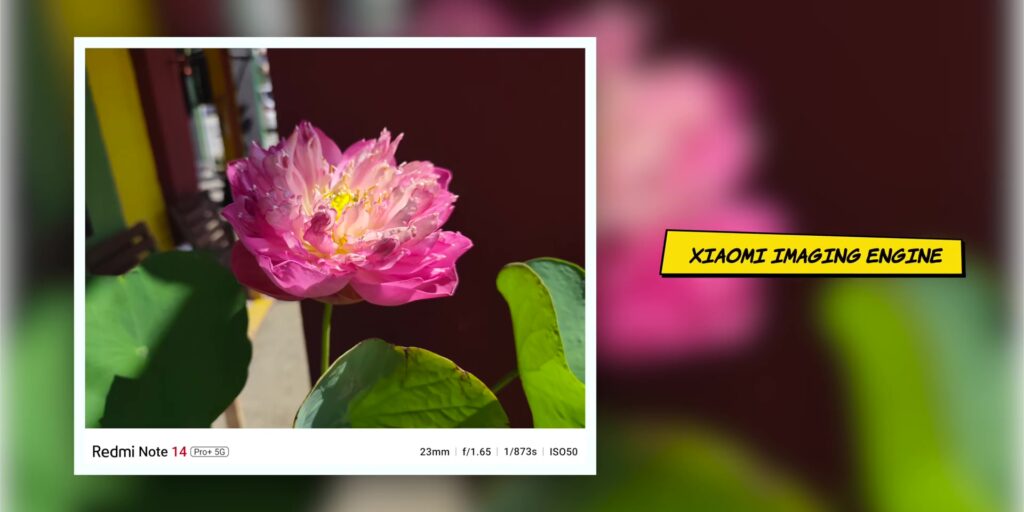 3.8 xiaomi imaging 1