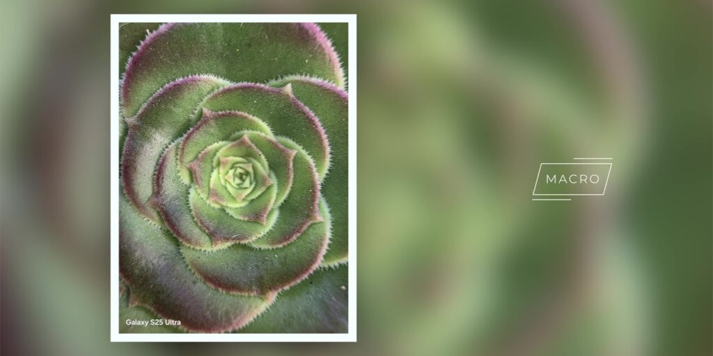 3.6 macro one