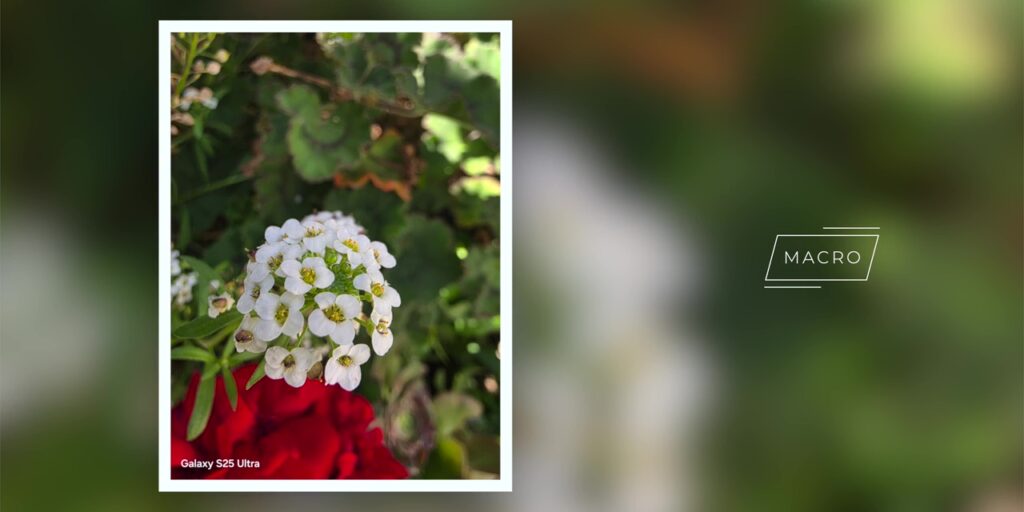 3.7 macro two