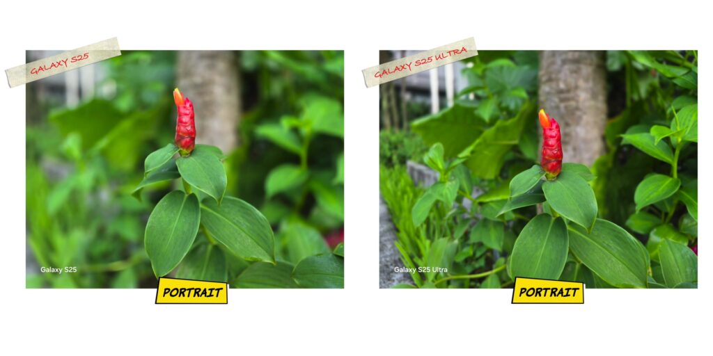 4.1 prt one flower