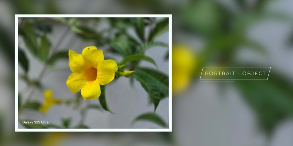 I Took 1,000+ Photos & Videos With The S25 Ultra 20 2.9 prt obj two