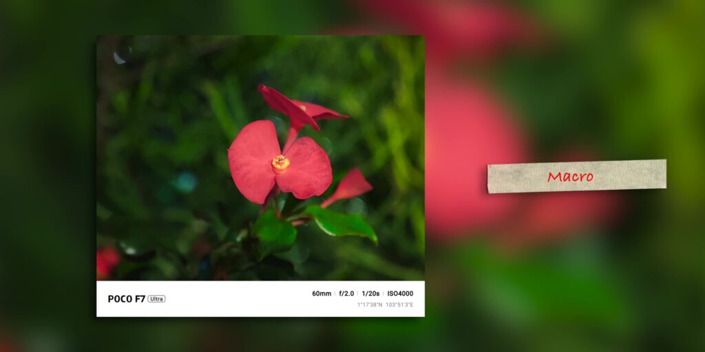 6.5 macro mode two