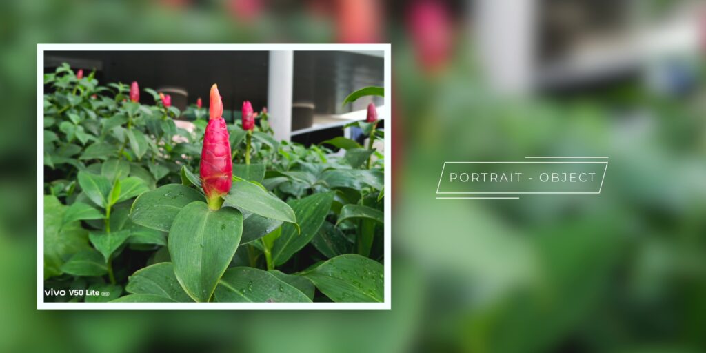 vivo V50 Lite: I Thought Lite Phones Were Weak—Then I Tried This 19 4.5 portrait object
