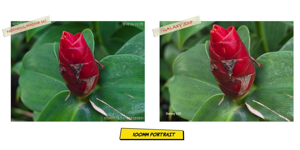 Nothing Phone (3) vs Samsung Galaxy S25: Style vs. Stability 175 4.18 PRT 100mm