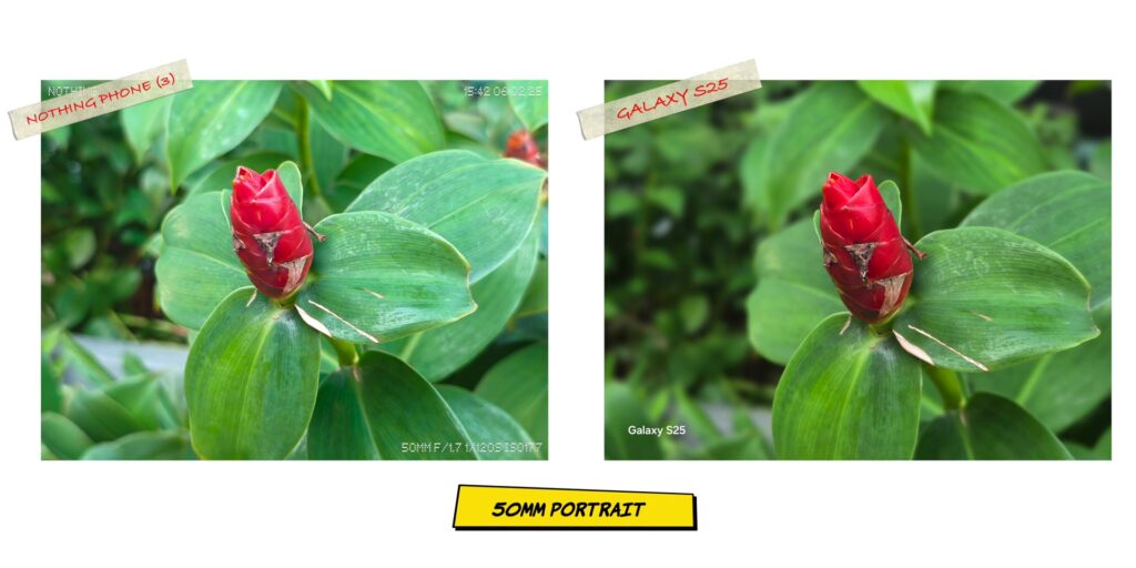 Nothing Phone (3) vs Samsung Galaxy S25: Style vs. Stability 173 4.16 PRT 50mm