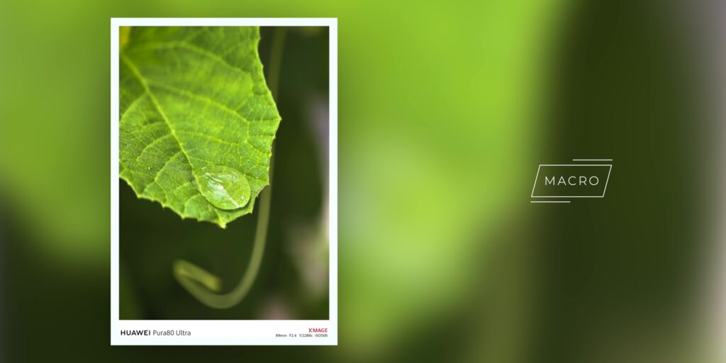 6.7 macro water droplet