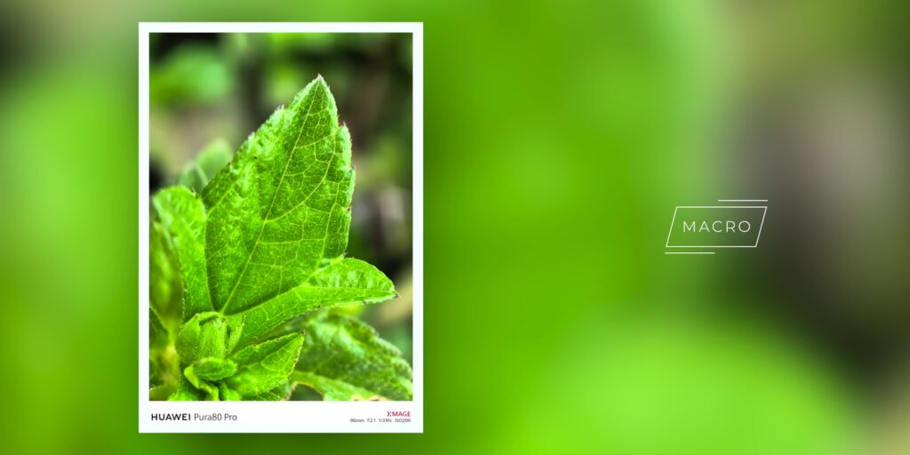 6.3 macro two