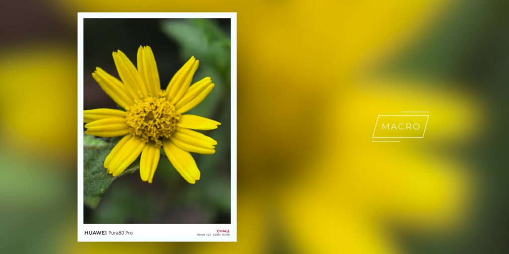 6.2 macro one