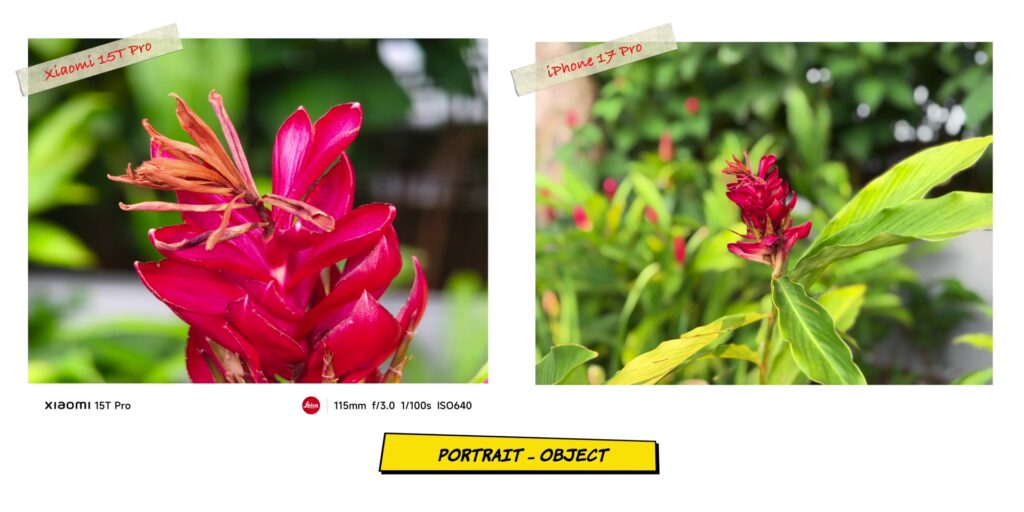 Xiaomi 15T Pro vs iPhone 17 Pro: In-Depth Camera Comparison 33 2.13 PRT closer obj